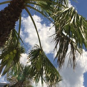 Meet your Posher, Kat